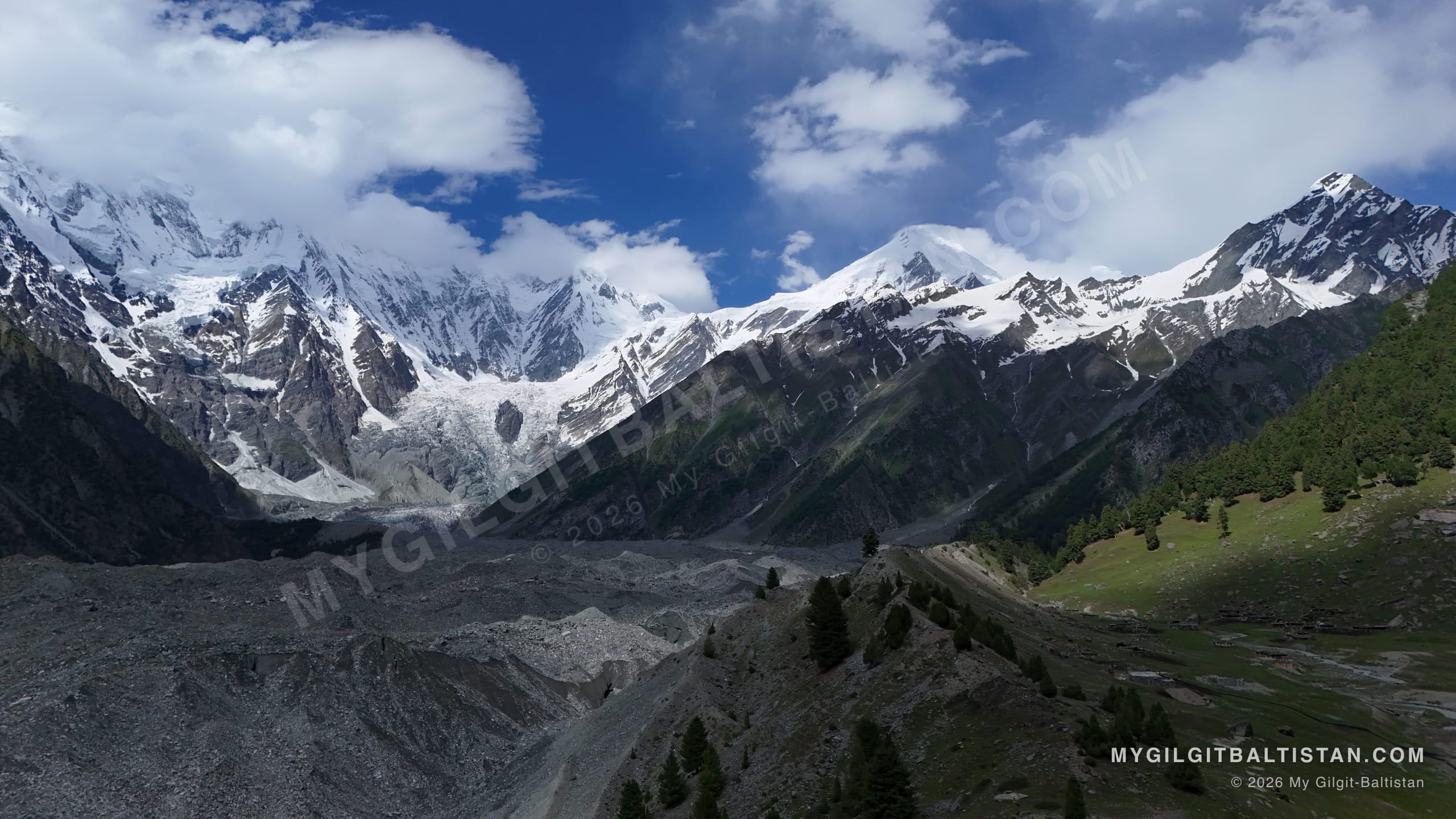 Snow peaks and a debris-covered glacier at the head of Bagrote Valley, with summer pastures and pine forest along the valley's edge.
