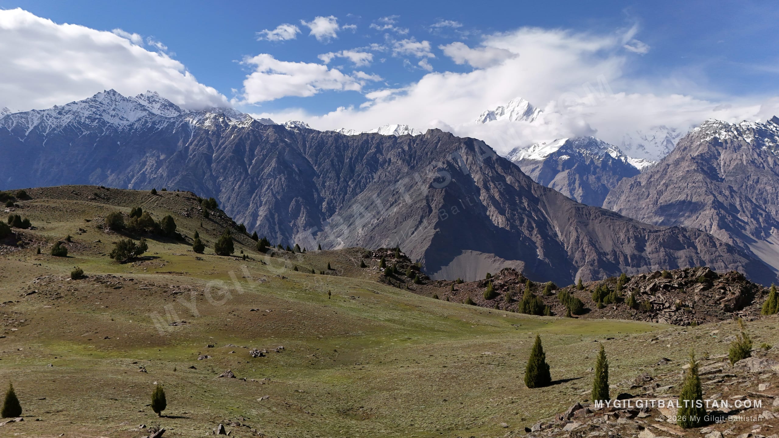 High juniper meadow on the approach, with the snow line visible across the gorge.